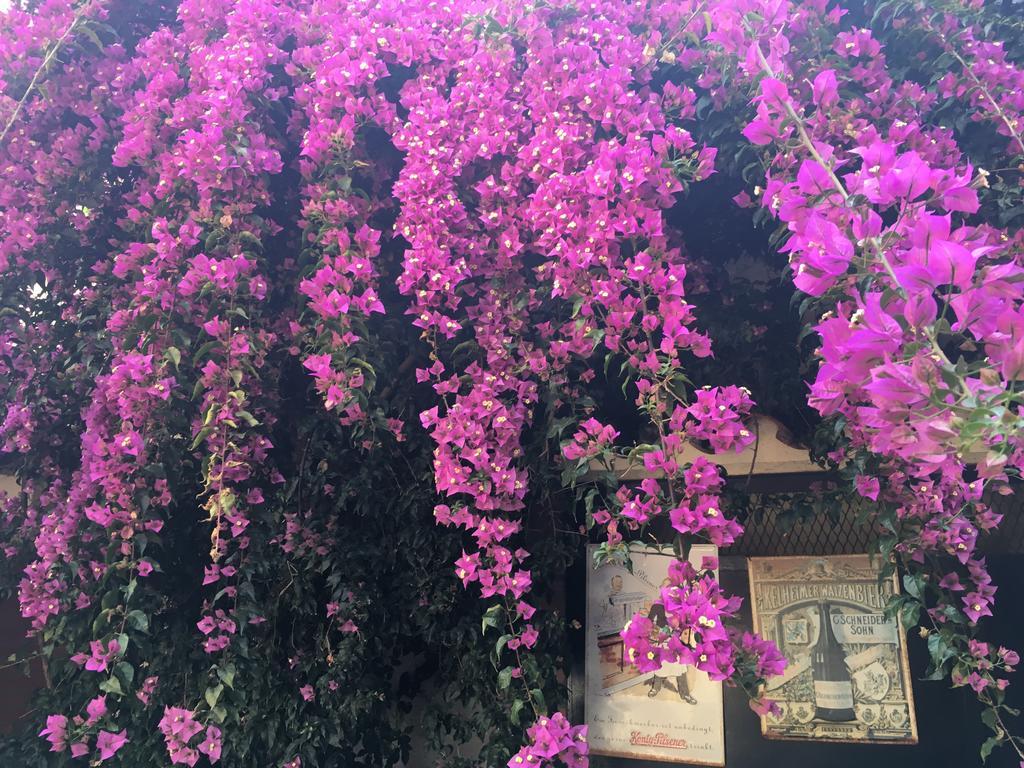 Pension Casa Austria กาเลญา ภายนอก รูปภาพ